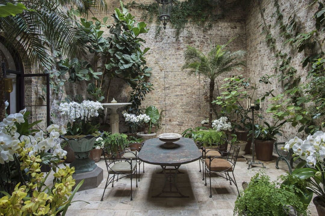 Transformez votre jardin d'hiver en oasis verdoyante