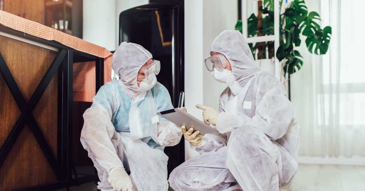 Cinq erreurs à éviter pour traiter efficacement une infestation de punaises de lit