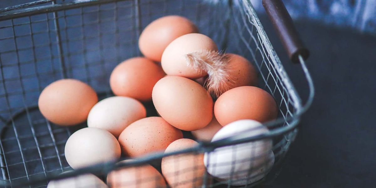 Démystifier les œufs : fraîcheur, étiquetage et conservation