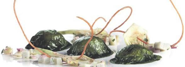 L'essor des algues : un trésor méconnu à découvrir