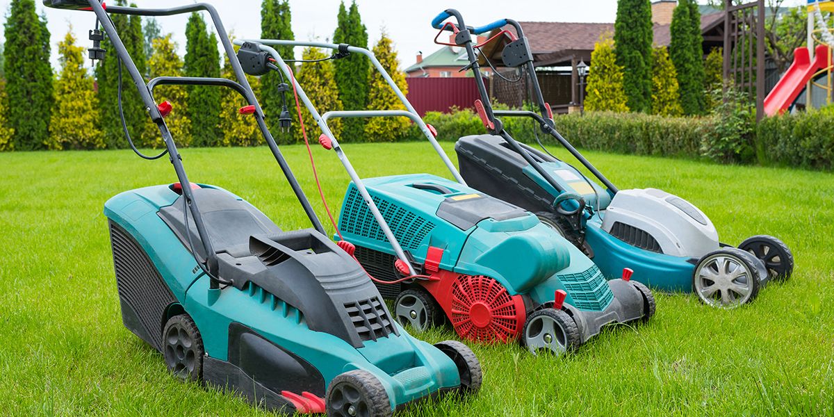 Comment choisir la tondeuse idéale pour un jardin éblouissant