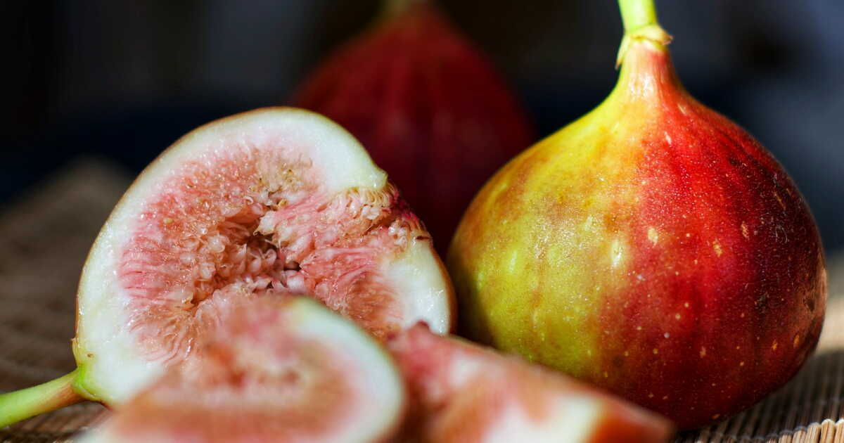 À quelle fréquence faut-il arroser un figuier ?