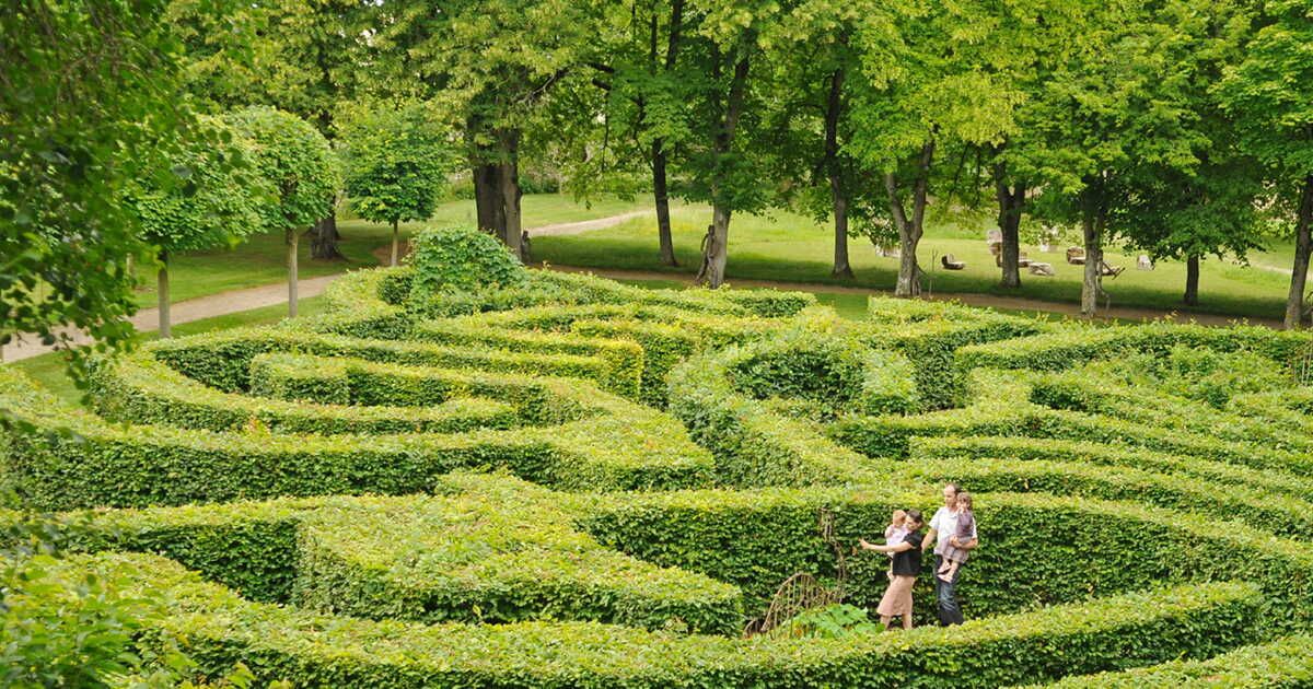 Un week-end au jardin : un boost pour votre cerveau