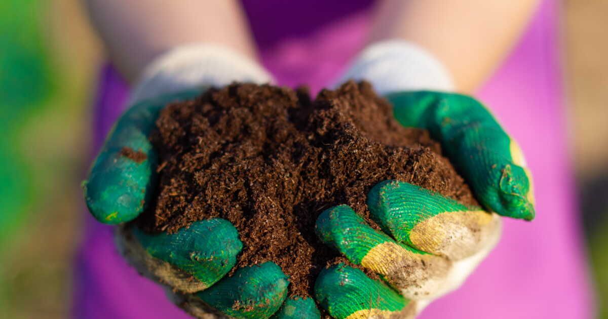 Éveillez votre potager grâce à 5 déchets alimentaires transformés en engrais naturel