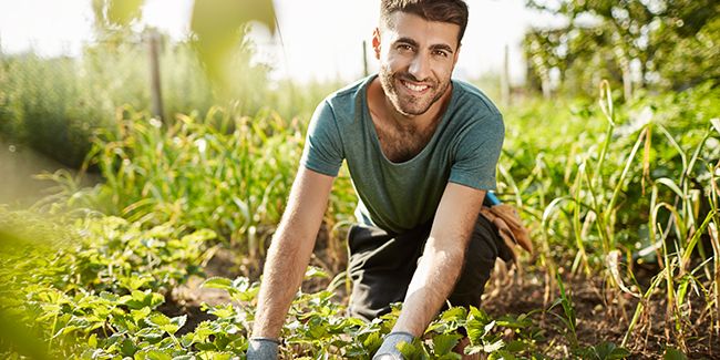 Les métiers du jardinage : une dynamique en pleine croissance