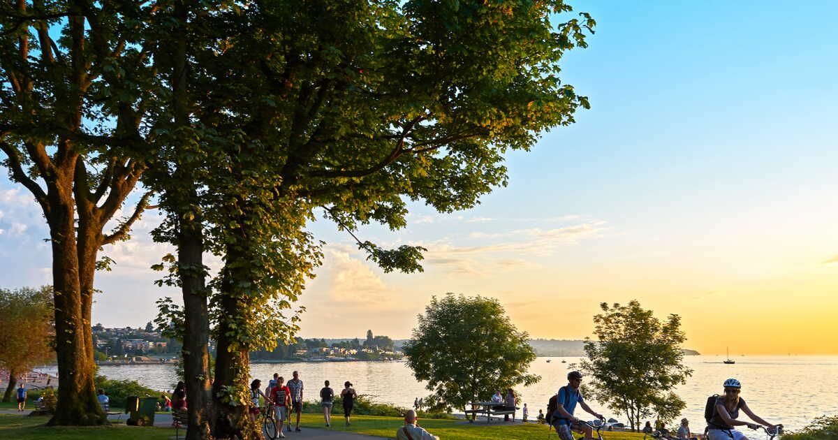 Des arbres en péril dans nos villes : vers des solutions durables