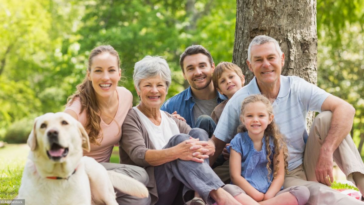 Comprendre l'assurance-vie pour une succession réussie