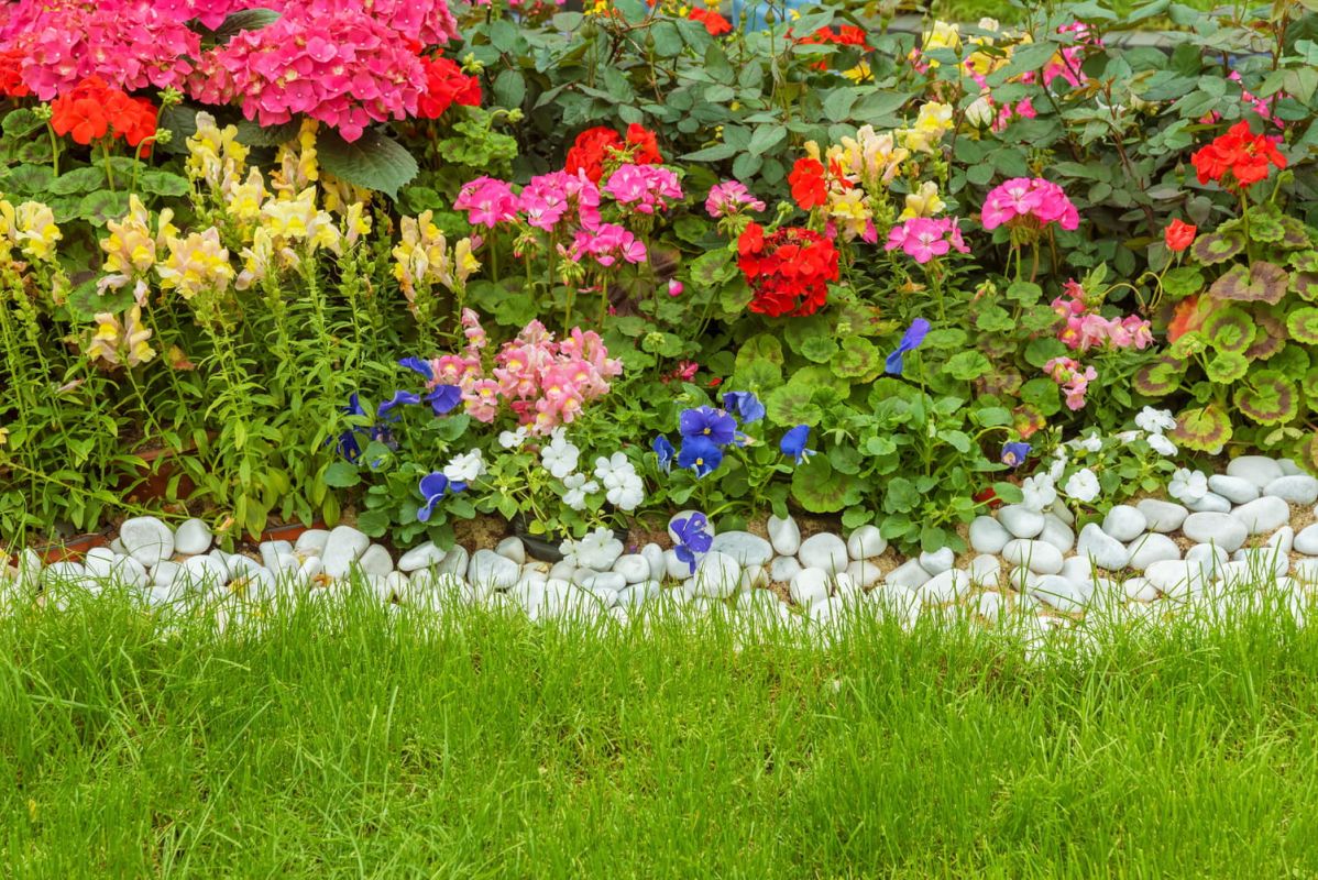 Choisir et installer des bordures de jardin pour sublimer votre espace extérieur