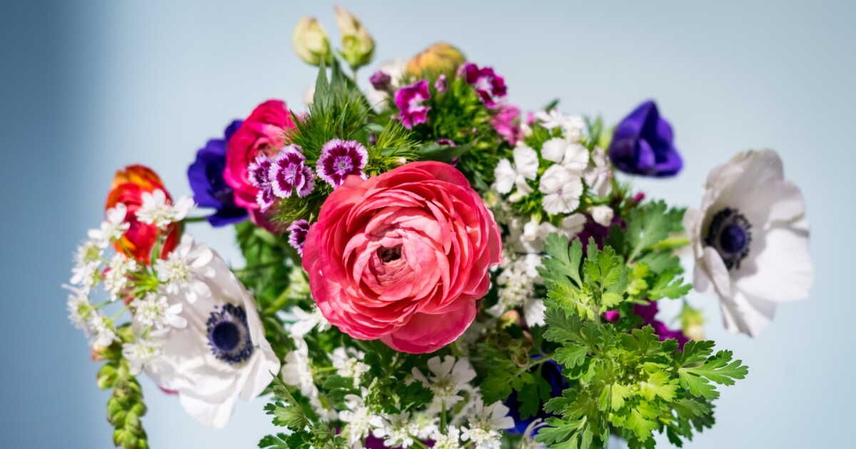 Des alternatives aux roses rouges pour un bouquet de Saint-Valentin responsable
