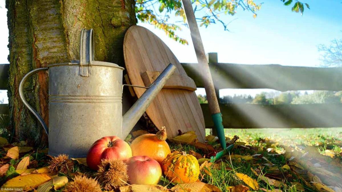 Préparer son jardin pour l'hiver : les indispensables