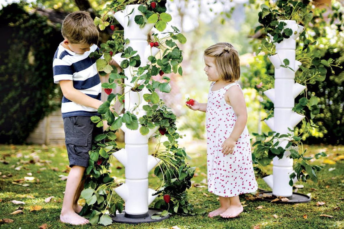 Construire une tour à fraises : guide pratique pour récolter des fruits sans jardin