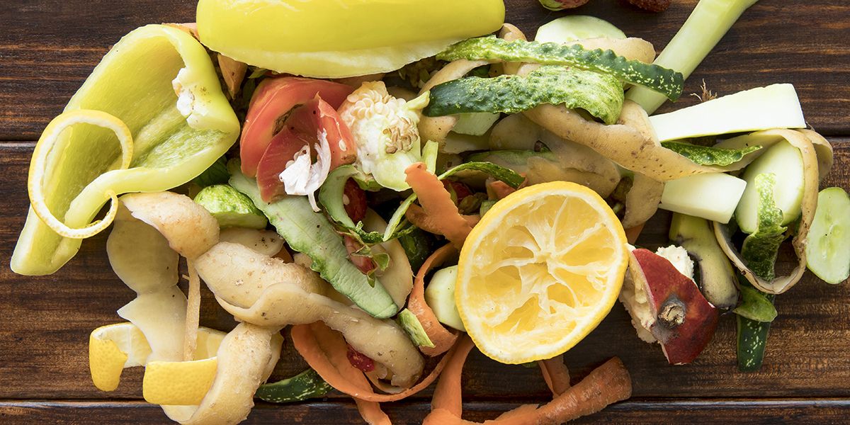 Peaux d'agrumes au compost : démêler le vrai du faux