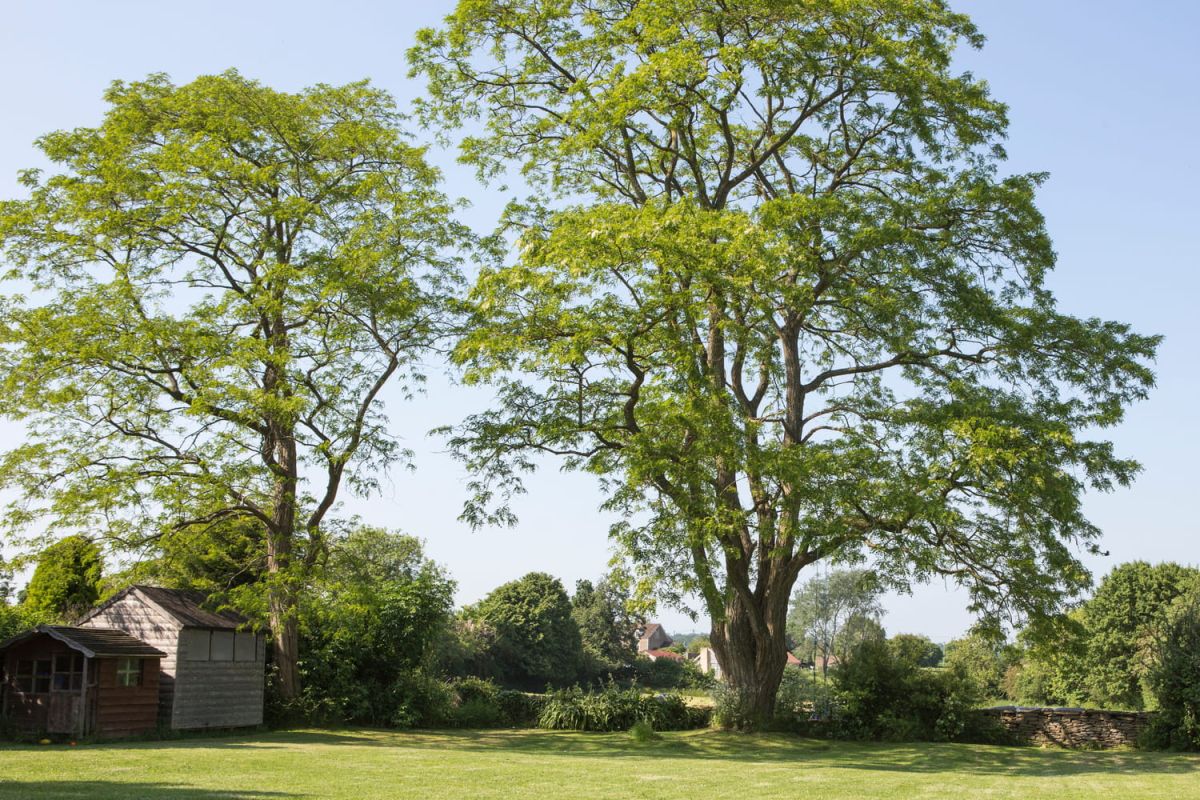 cet impôt méconnu pourrait faire exploser vos factures de jardinage cette année