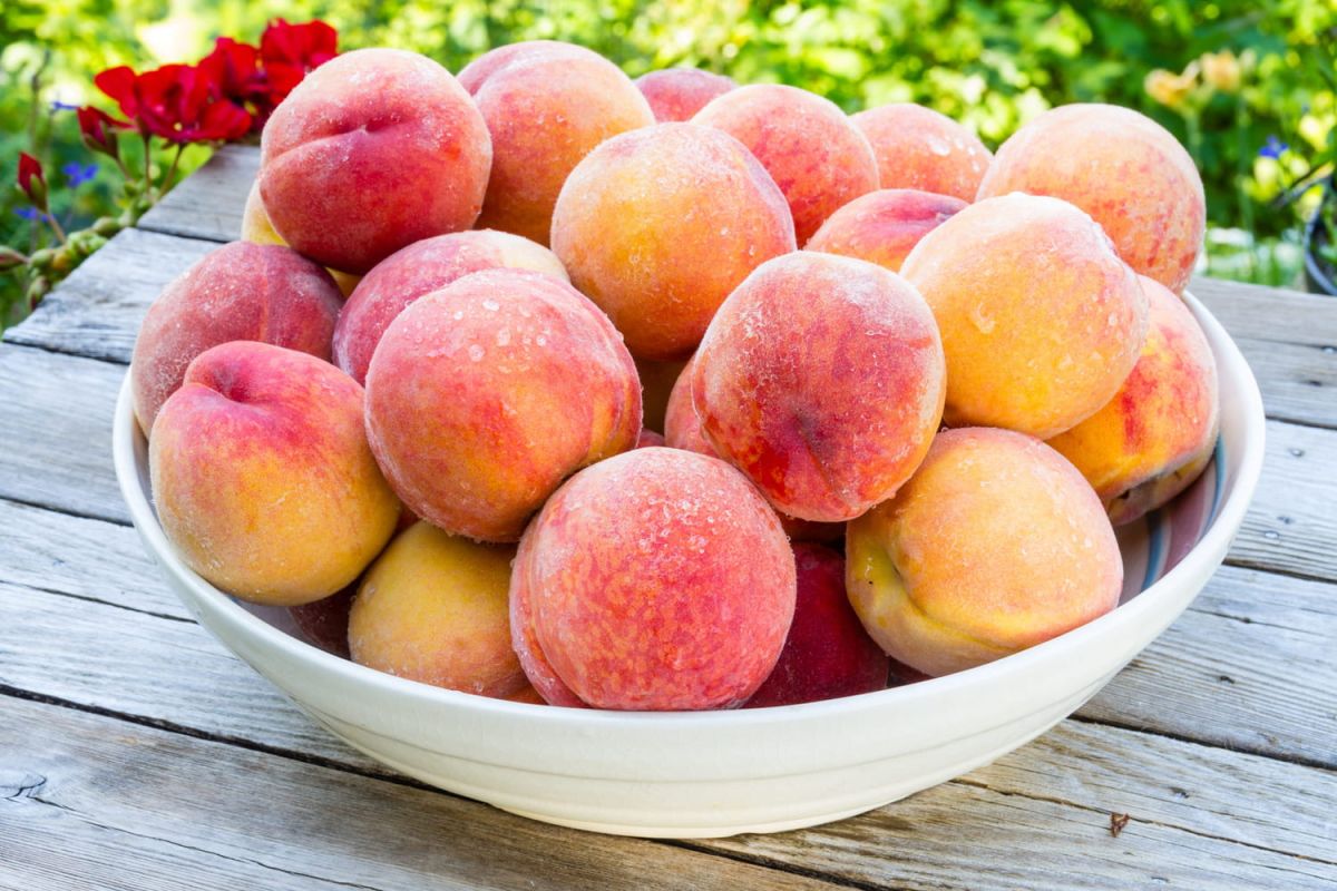 le dessert facile à préparer pour un été rafraîchissant