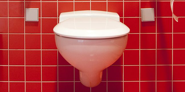 Redécouvrez vos toilettes avec ces 9 couleurs incontournables