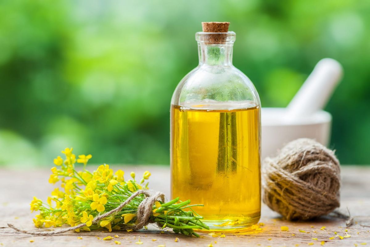 L'huile neutre : l'alliée discrète de votre cuisine