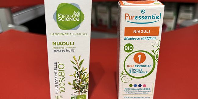 Le niaouli, un précieux atout contre les infections hivernales