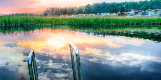 Zoom sur la piscine naturelle : un choix écologique et esthétique