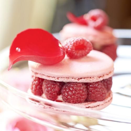 Le jour du macaron : un délice solidaire à déguster