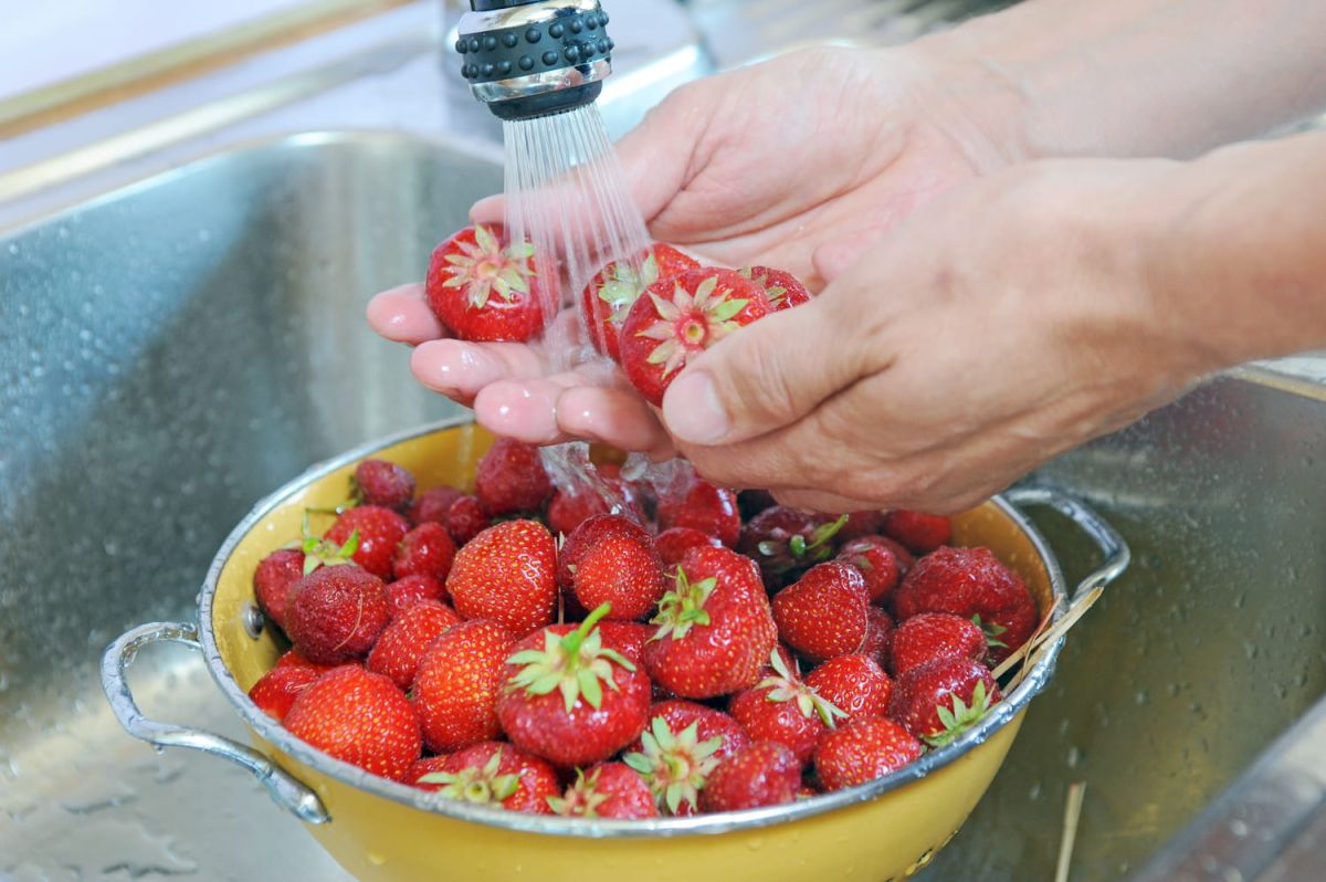 L'art de bien nettoyer vos fraises pour une conservation optimale