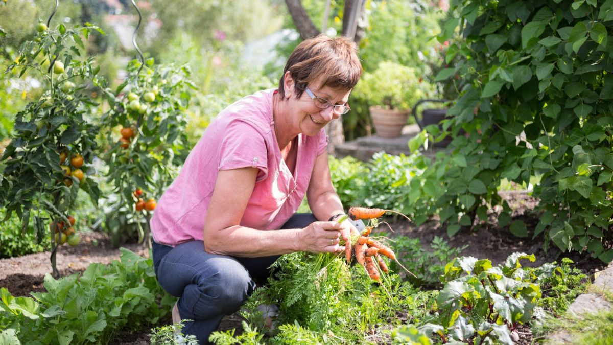 Jardinage malin : cultivez sans vous ruiner