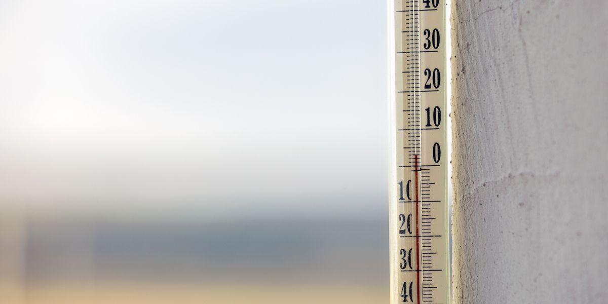 Les secrets du jardinage avant et après les saints de glace