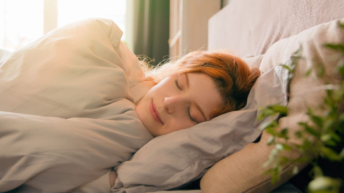 La plante parfaite pour votre chambre : au-delà de l’esthétisme