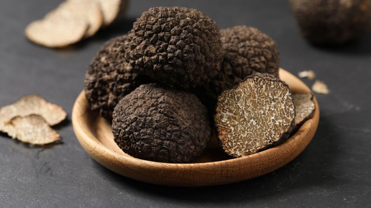 La truffe : trésor de la gastronomie française