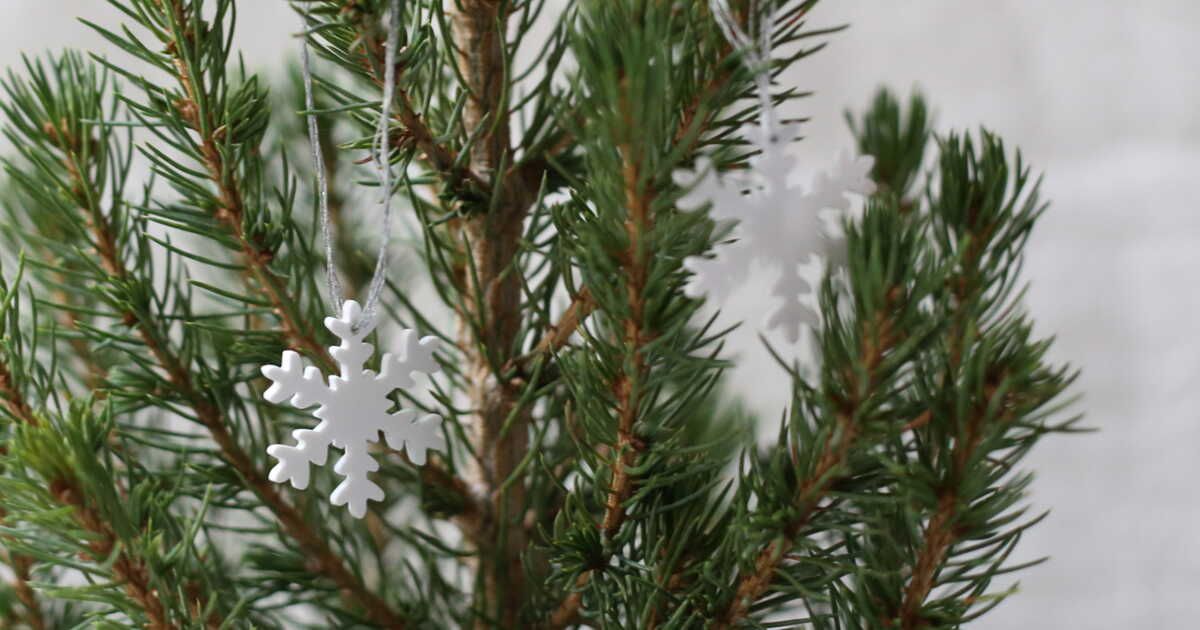 L'art de décorer son sapin de Noël avec du plastique fou