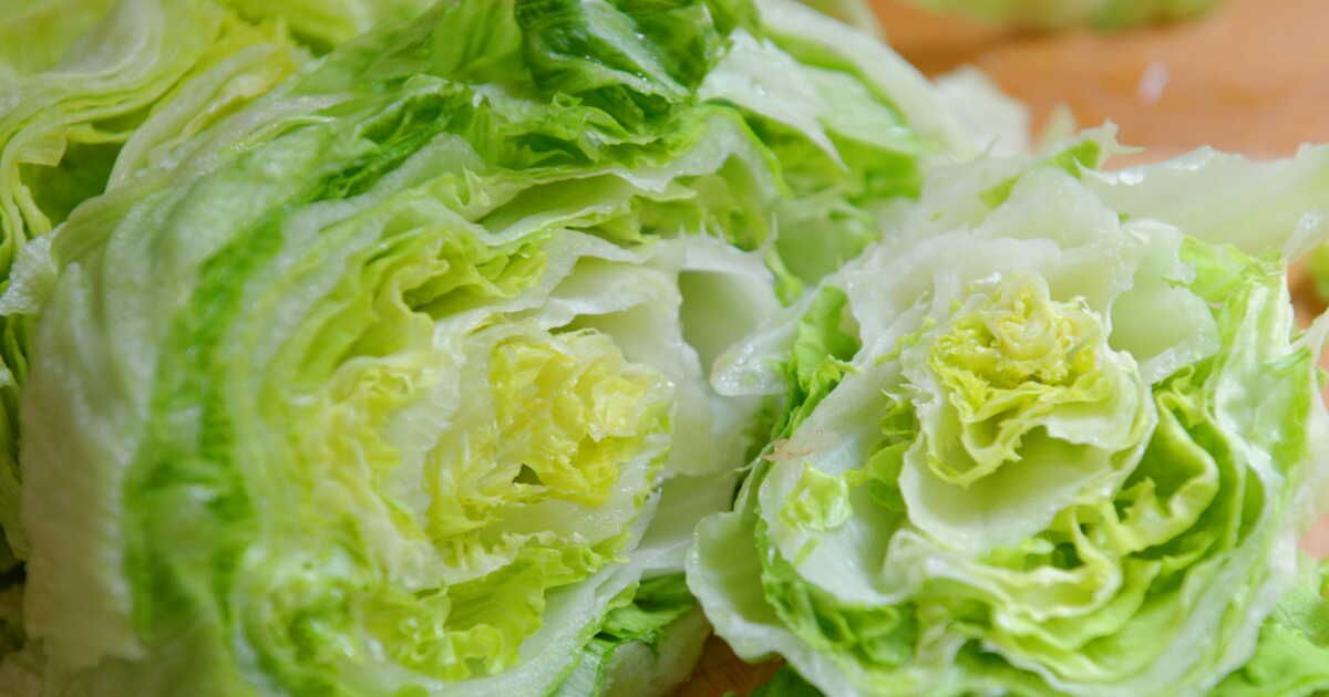 l'importance de laver la salade iceberg : ce qu'il faut savoir