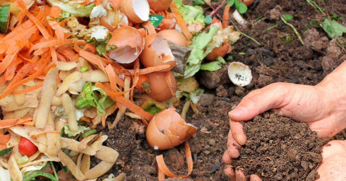 Transformez vos déchets en trésor pour votre jardin