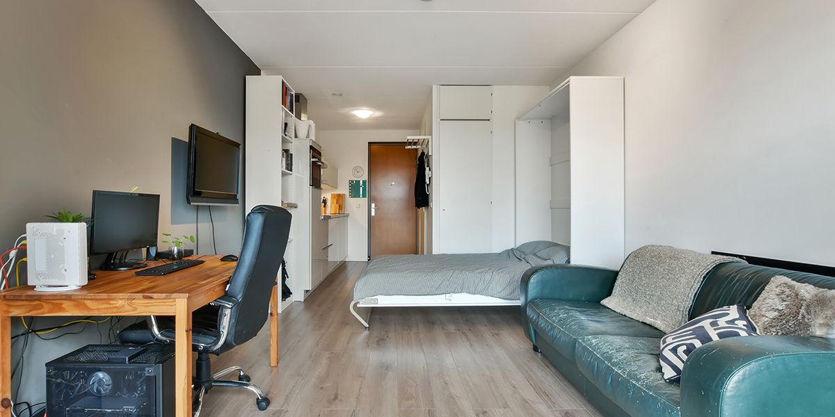 Déclarer un studio comme résidence principale : opportunité ou piège fiscal ?