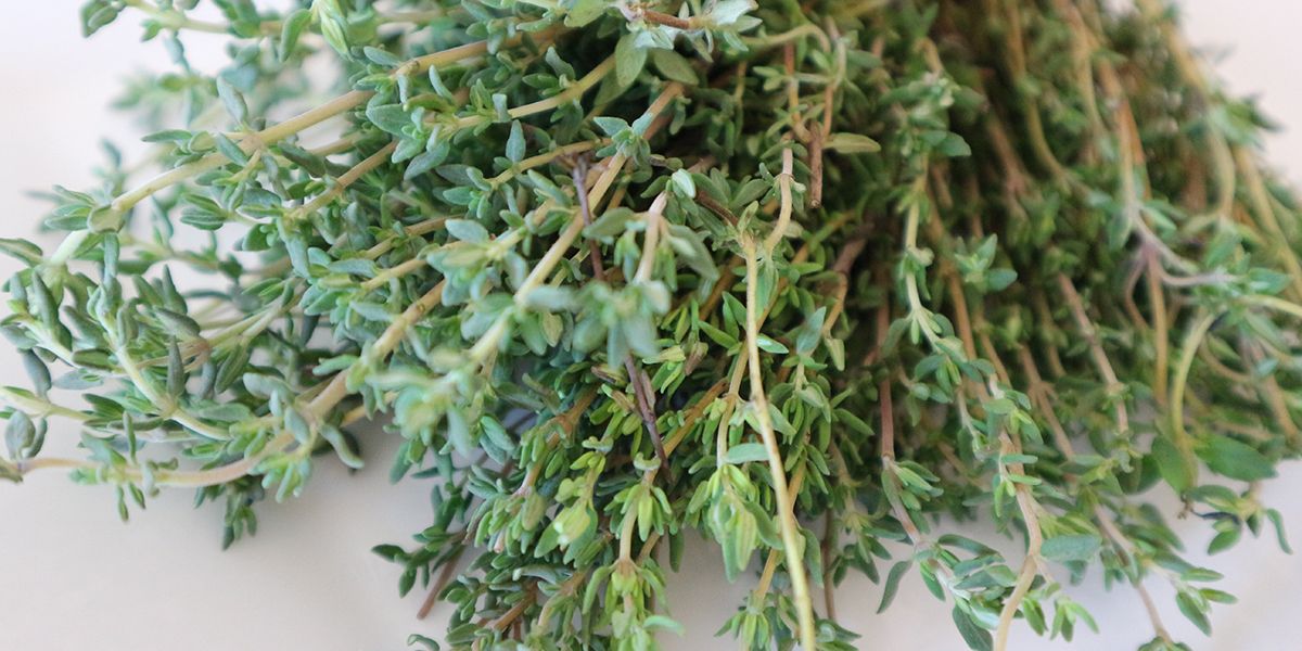 Découvrez les secrets du thym : de la récolte à l'assiette