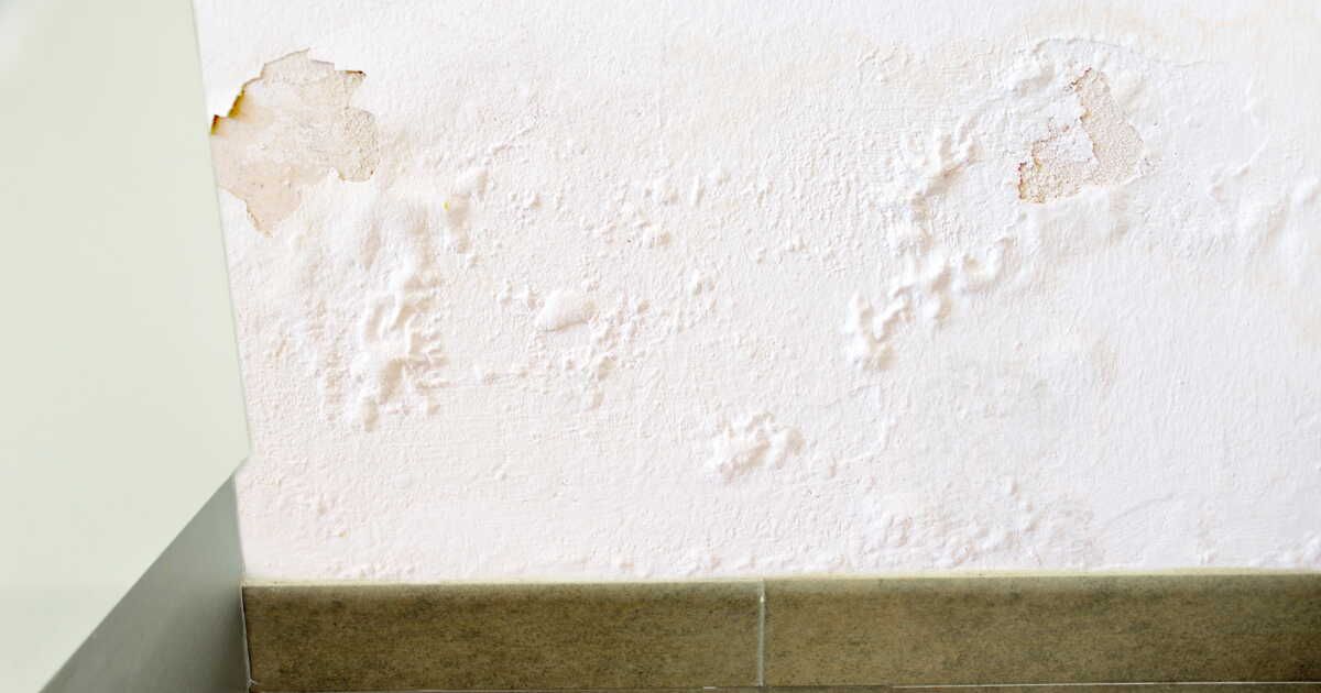 Comment résoudre le problème d'humidité sur vos murs
