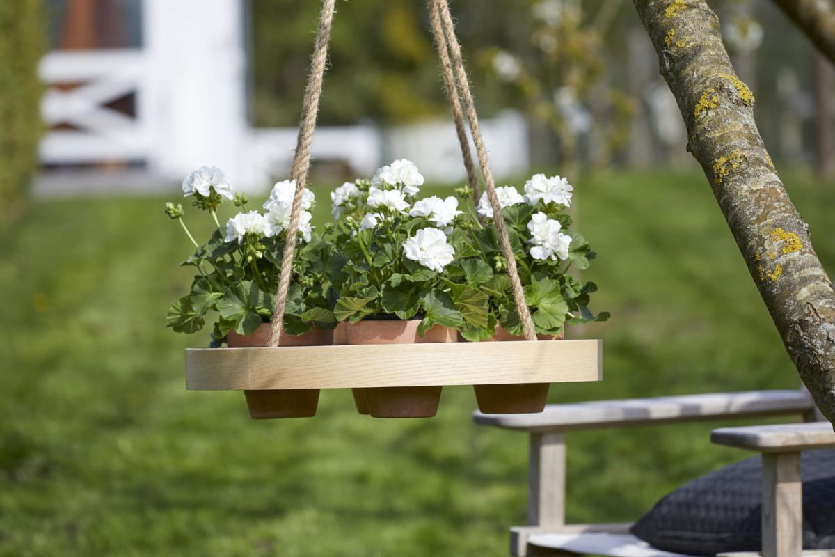 suspendre vos géraniums : la tendance déco qui fait fleurir vos espaces