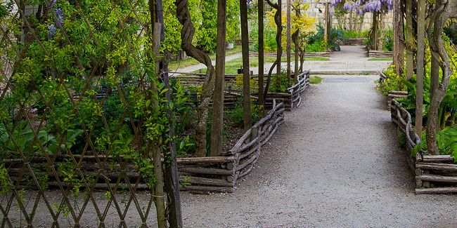 Revitaliser votre potager avec des bordures naturelles